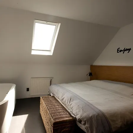 Studio Molenstraat